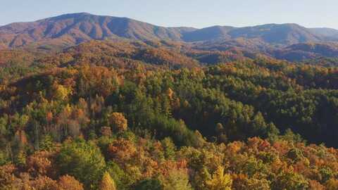 410 Seay Hollow Road Road, Del Rio, TN 37727