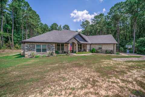 315 Bralan Dr, Diana, TX 75640