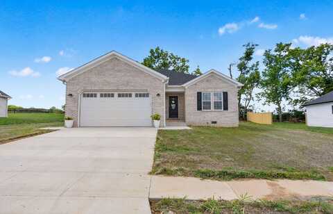206 Max Cavnes Road, Danville, KY 40422