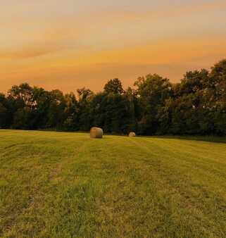 2111 Foster Drive, Willisburg, KY 40078
