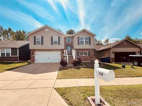 117 Doctrine Drive, Festus, MO 63028