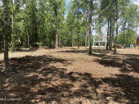 Tahiti Road, Pearlington, MS 39572