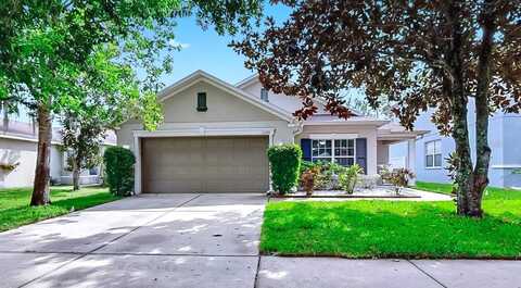 11249 RUNNING PINE DRIVE, RIVERVIEW, FL 33569