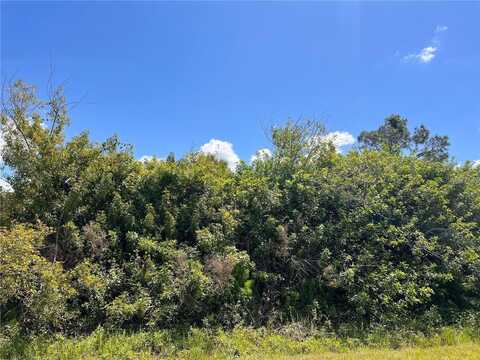 BLUELEAF DRIVE, NORTH PORT, FL 34288