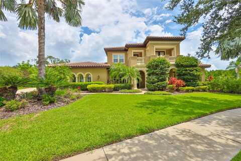 16423 CHAPMAN CROSSING DRIVE, LITHIA, FL 33547
