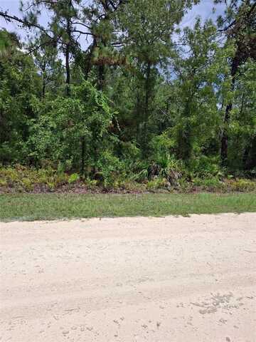 16026 SHELDRAKE LOOP, WEEKI WACHEE, FL 34614