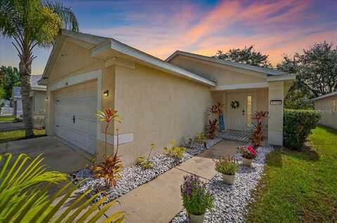 11310 PALM ISLAND AVENUE, RIVERVIEW, FL 33569