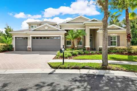 10015 HAZELNUT COURT, TAMPA, FL 33647