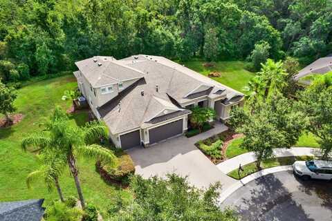 10015 HAZELNUT COURT, TAMPA, FL 33647