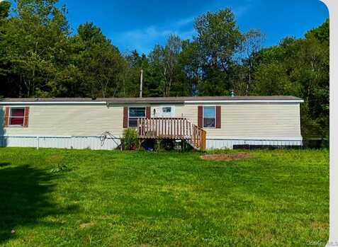 811 Briscoe, Liberty, NY 12783