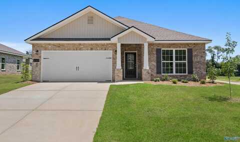 167 River Pointe Drive, New Market, AL 36761