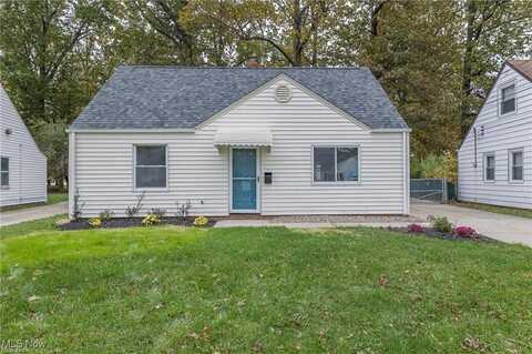 23324 Williams Avenue, Euclid, OH 44123
