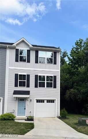 196 Raintree Lane, Painesville, OH 44077