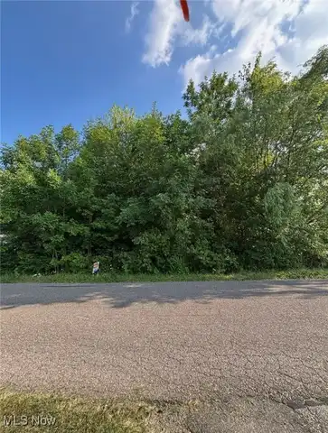 Moyer Avenue, Youngstown, OH 44512