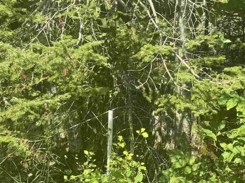 1520 Trails End, Mackinaw City, MI 49701