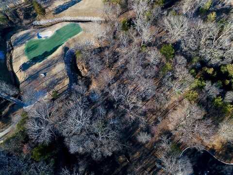 32c Coyote Springs Court, Gordonville, TX 76245