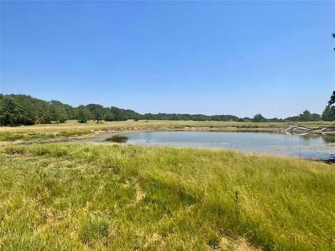 485 County Road 1570, Chico, TX 76431