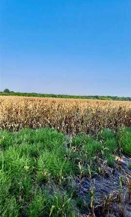T B D FM 1528, Cooper, TX 75432