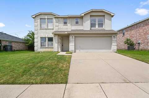 1603 Purpletop Drive, Arlington, TX 76002