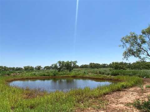 8445 County Road 226, Avoca, TX 79503