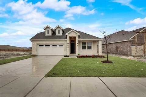 921 Baybrook Drive, Anna, TX 75409