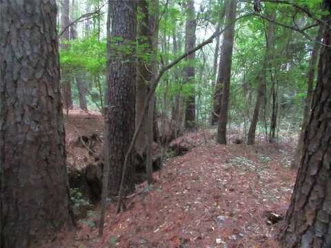 Tbd FM 1793, Marshall, TX 75694
