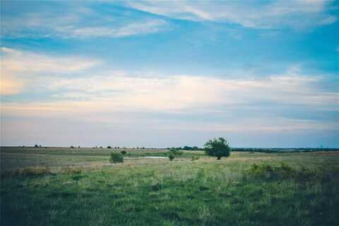 12203 E Rocky Creek Road, Crowley, TX 76036
