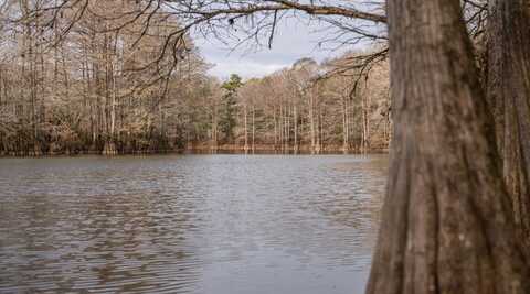 0 Hwy 98, Mc Lain, MS 39456