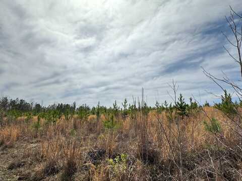 1 Kuykendall Road, Winfield, AL 35594