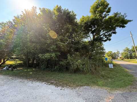36 Morris Ct, McKenzie, TN 38201