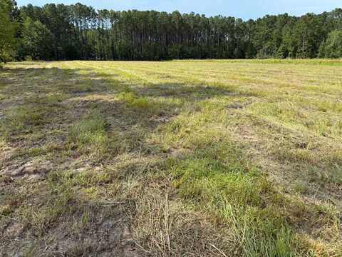 TBD Rice Shire Rd, Ridgeland, SC 29936