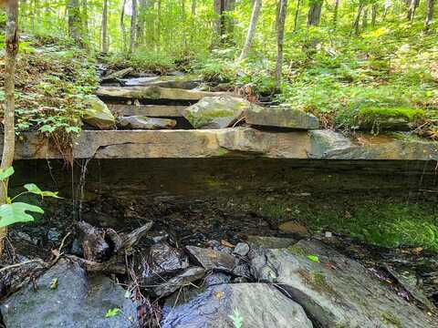 0 Scott Hwy, Helenwood, TN 37755