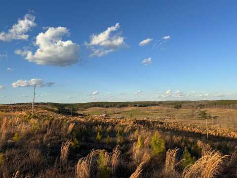 0 CR 10, Winfield, AL 35594