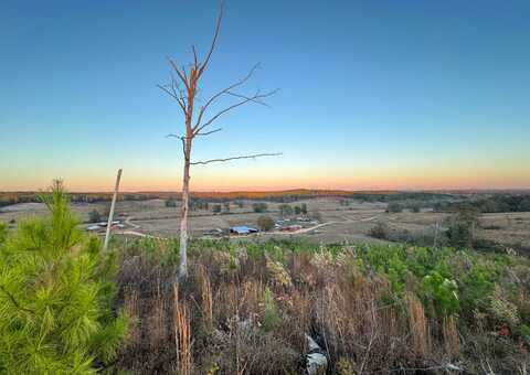 04 County Road 10, Winfield, AL 35594