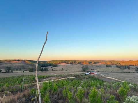 03 County Road 10, Winfield, AL 35594