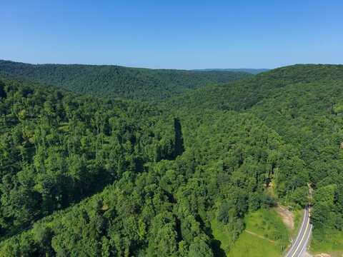 0 Mill Creek Rd, Mill Creek, WV 26280