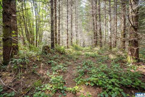 101 Durrwachter rd, Port Angeles, WA 98363