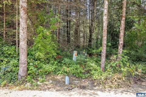 101 Wild Blackberry Lane, Port Angeles, WA 98363