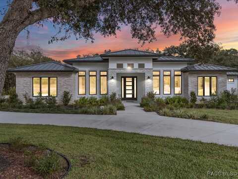 3937 W Shadow Creek Loop, Lecanto, FL 34461