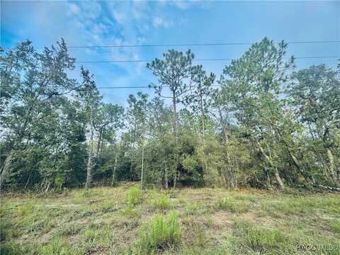 SE 136th Terrace, Dunnellon, FL 34431