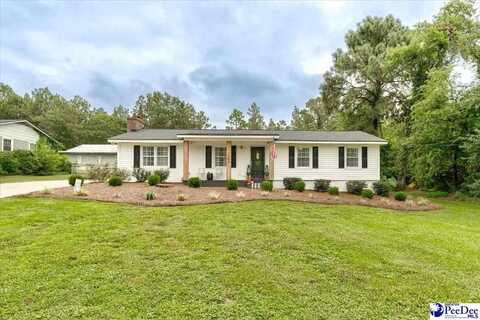 1100 Greenleaf, Hartsville, SC 29550