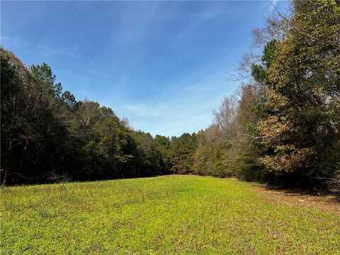100+AC Purdy Road, Emporia, VA 23847