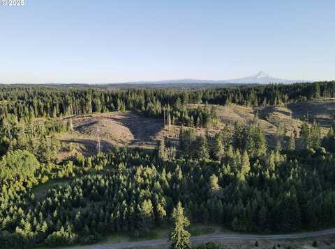 MT Brook LN, White Salmon, WA 98672