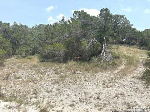 16 Contour Dr, Spring Branch, TX 78070
