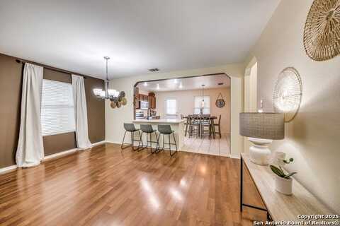 20614 Blue Trinity, San Antonio, TX 78259