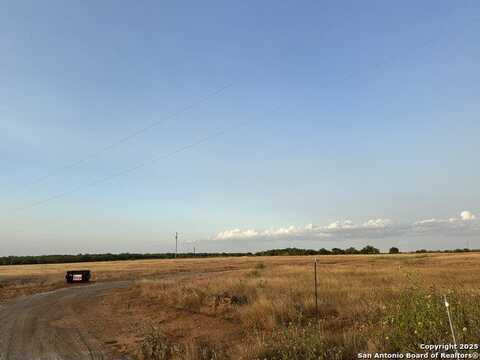 356 Persimmon, Pleasanton, TX 78064