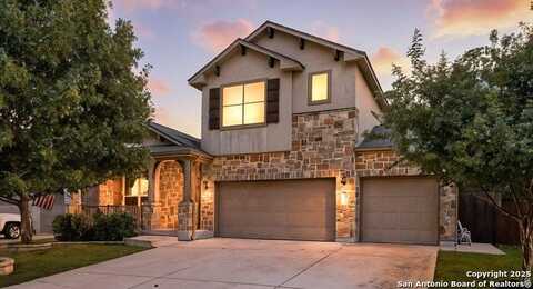 1911 Blue Goose, New Braunfels, TX 78130