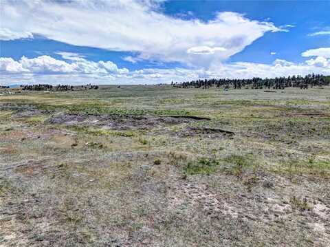 3360 CAHOKIA ROAD, Hartsel, CO 80449
