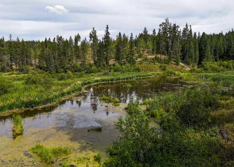 52xx Wagner Rd, Springdale, WA 99173
