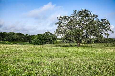 Tract 4 South Nassau Road, Round Top, TX 78954